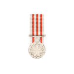  Distinguished Service Medal 1991 (DSM)