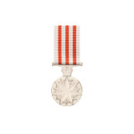  Distinguished Service Medal 1991 (DSM)