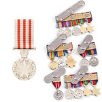  Distinguished Service Medal 1991 (DSM)