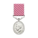 Air Force Medal (AFM) Image 5 