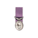 Distinguished Flying Medal (DFM) Image 3 