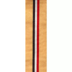  British Iraq Medal - OP TELIC