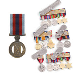 Champion Shot Medal