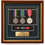  AOSM Border Protection + Indo-Pacific + ADM Replica Set