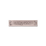 Iraq 2003 - AOSM Civillian Clasp Image 0 