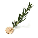  Always Remember, Rosemary Carrier Lapel Pin