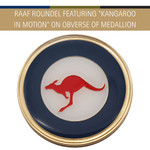  Air Force Medallion In Case CIIIR