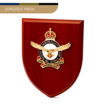  Air Force Plaque CIIIR