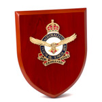  Air Force Plaque CIIIR