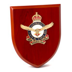  Air Force Plaque CIIIR