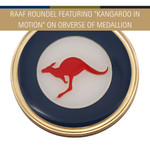  Air Force Sword Desk Set CIIIR