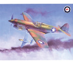P-40E WARHAWK  w/RAAF Decals - Scale 1:32 Image 2 