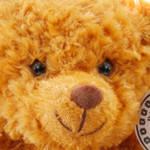 Remember Their Service Poppy Bear Image 3 