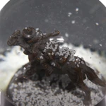  Charge at Beersheba Snow Globe