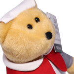  Little Aussie WW1  Nurse Bear
