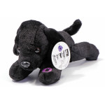  Purple Poppy Puppy Pack Doggles on! Featuring an imprint of Aussie along with his handler, Sapper Shaun Ward in the Baluchi Valley, Afghanistan 2008, this classic ANZAC Biscuit Tin is jam-packed with an array of some of the