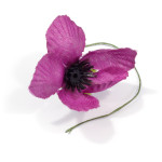  Purple Poppy Puppy Pack Doggles on! Featuring an imprint of Aussie along with his handler, Sapper Shaun Ward in the Baluchi Valley, Afghanistan 2008, this classic ANZAC Biscuit Tin is jam-packed with an array of some of the