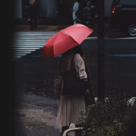  Poppy Mpressions Fields of Poppies Compact Umbrella