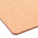  Poppy Mpressions Fields of Poppies Set of 4 Placemats