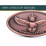  Air Force Commendation Bronze