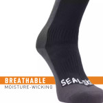  Sealskinz Wp Cold Weathr Mid '20 Blk