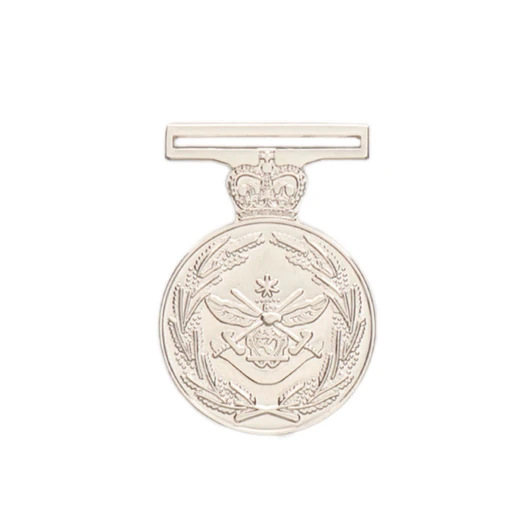 Defence Long Service Medal (DLSM)