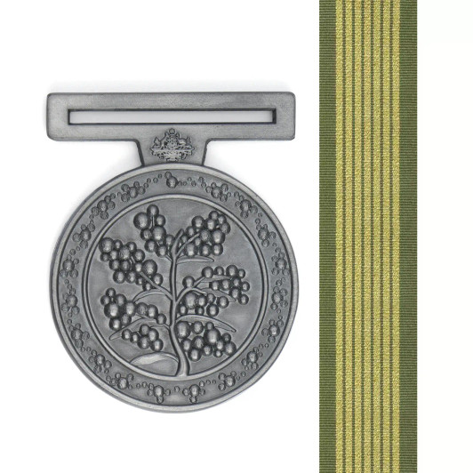 National Emergency Medal (NEM) National Emergency Medal (NEM)