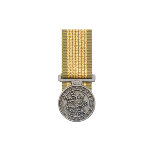 National Emergency Medal (NEM)