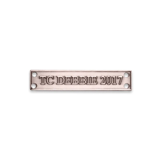 TC Debbie 2017 Medal Clasp