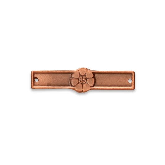 Northern Territory 35 Year Medal Clasp