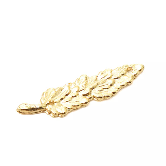 Western Australia Gold Wattle Leaf Western Australia Gold Wattle Leaf