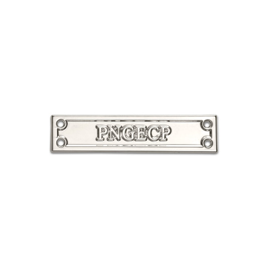 PNGECP Police Overseas Medal Clasp