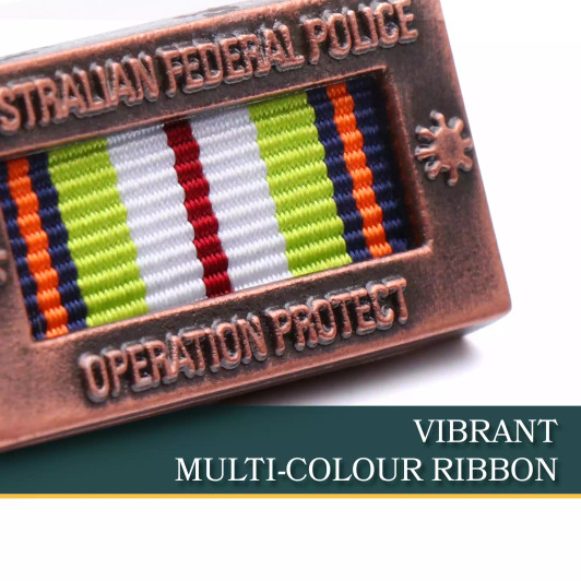 AFP Operation PROTECT Citation