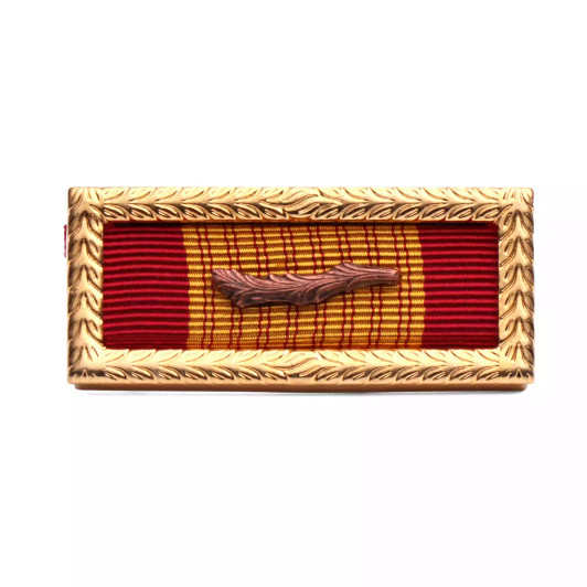 Vietnamese Cross of Gallantry Citation W/Sprig