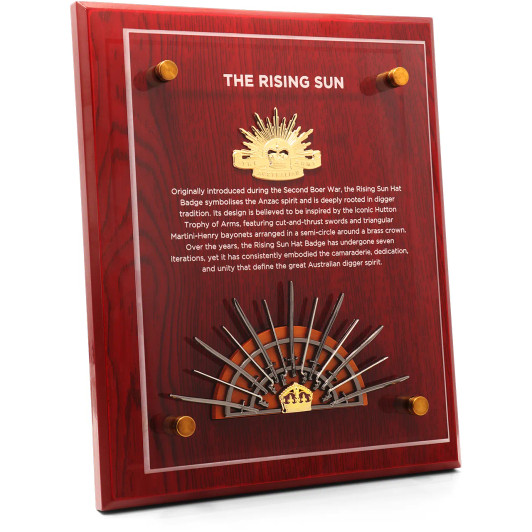 Hutton Trophy and Rising Sun Plaque