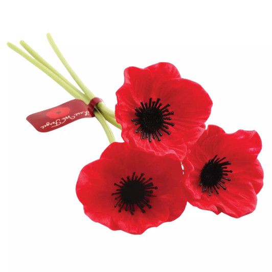 Set of Three Red Long Stem Poppies