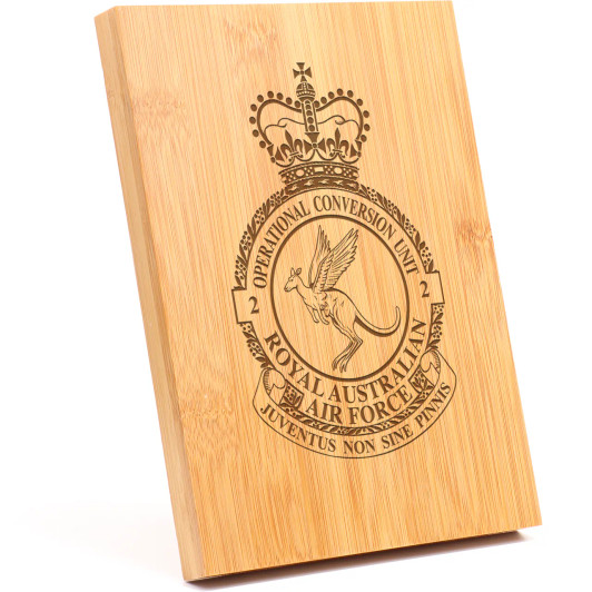 No 2 Squadron Operational Conversion Unit (2OCU) Apex Bamboo Award
