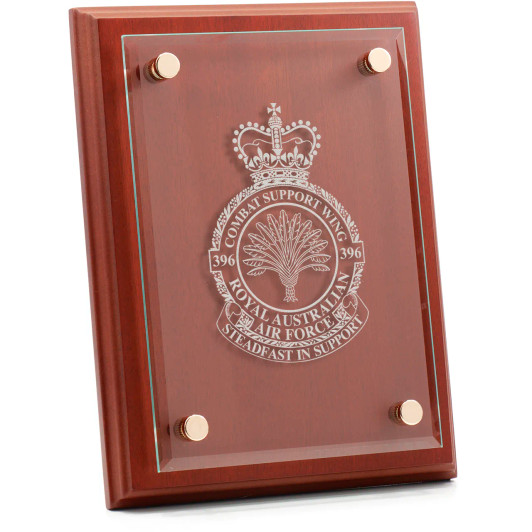 No 396 Combat Support Wing (396CSW) Delta Floating Glass Award