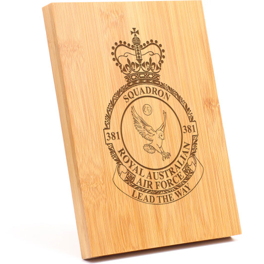 No 381 Squadron (381SQN) Apex Bamboo Award