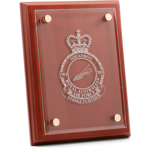 No 383 Squadron (383SQN) Delta Floating Glass Award