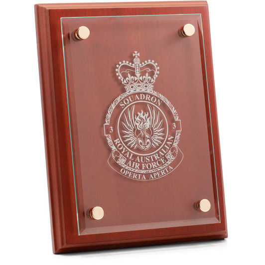 No 3 Squadron (3SQN) Delta Floating Glass Award
