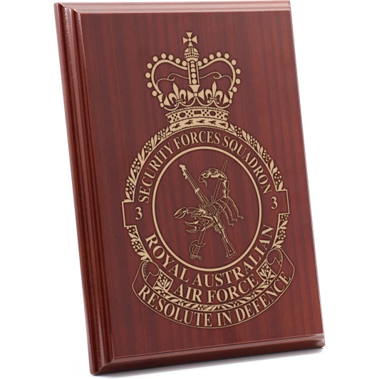 No 3 Security Forces Squadron (3SFS) Omega Timber Award