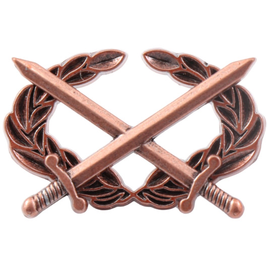 Army Combat Badge Army Combat Badge