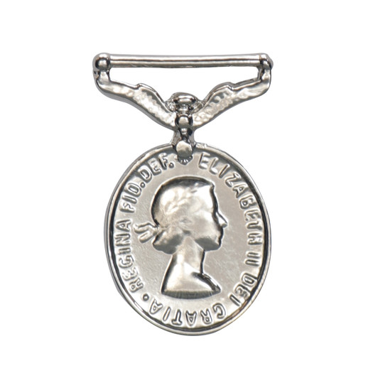 Distinguished Flying Medal (DFM)