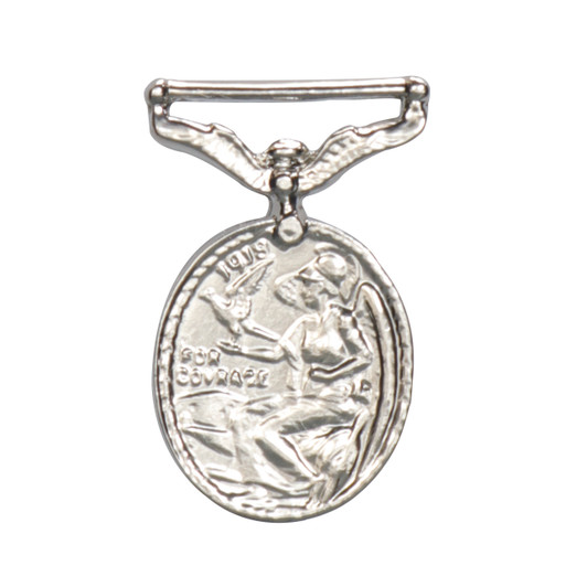 Distinguished Flying Medal (DFM)
