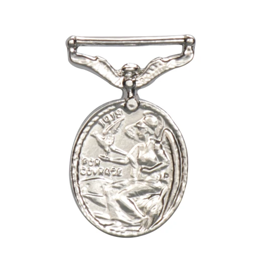 Distinguished Flying Medal (DFM)