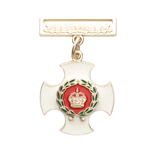 Distinguished Service Order (DSO)