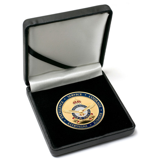 Air Force Medallion In Case CIIIR