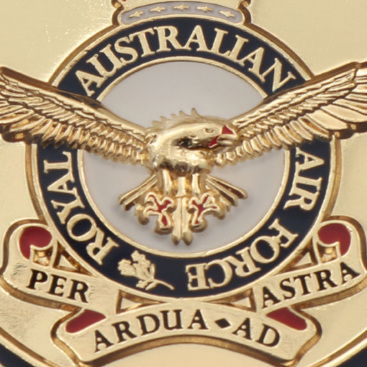 Air Force Medallion In Case CIIIR