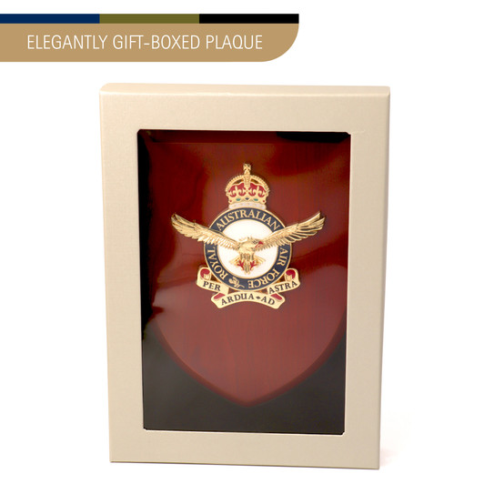 Air Force Plaque CIIIR